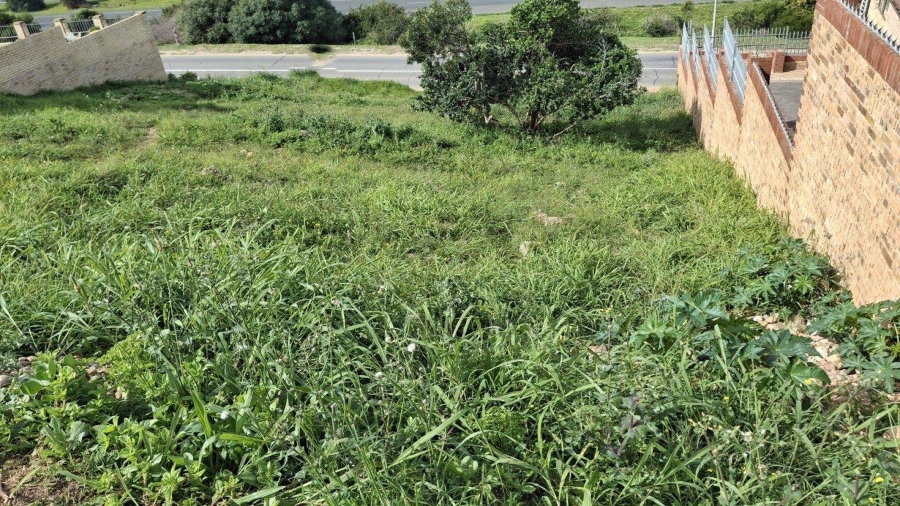 0 Bedroom Property for Sale in Menkenkop Western Cape